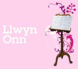 Llwyn Onn