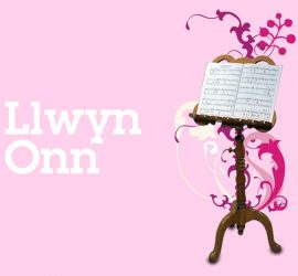 Llwyn Onn